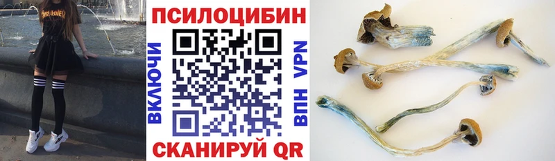 продажа наркотиков  hydra сайт  Псилоцибиновые грибы мицелий  Карабулак 