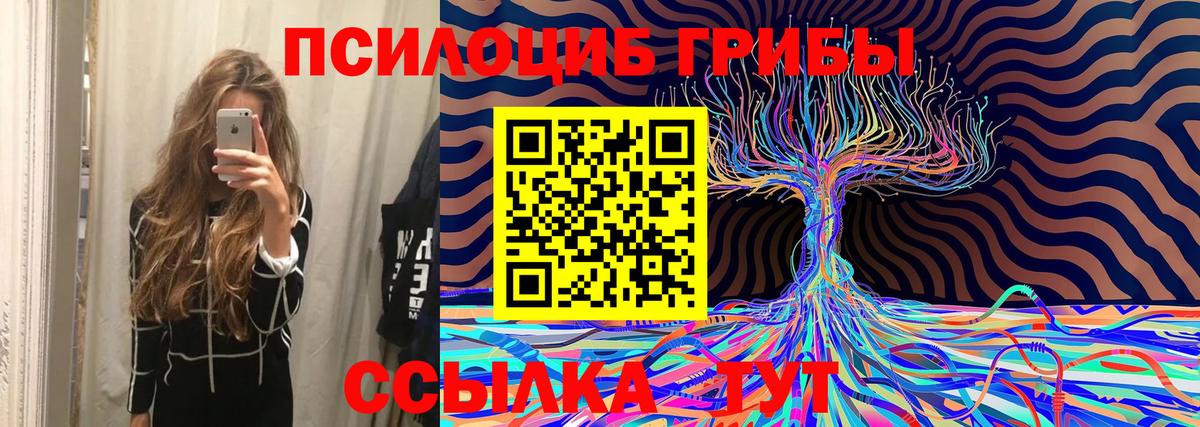 Карабулак  Галлюциногенные грибы Magic Shrooms  Вход с VPN  Галлюциногенные грибы GOLDEN TEACHER 